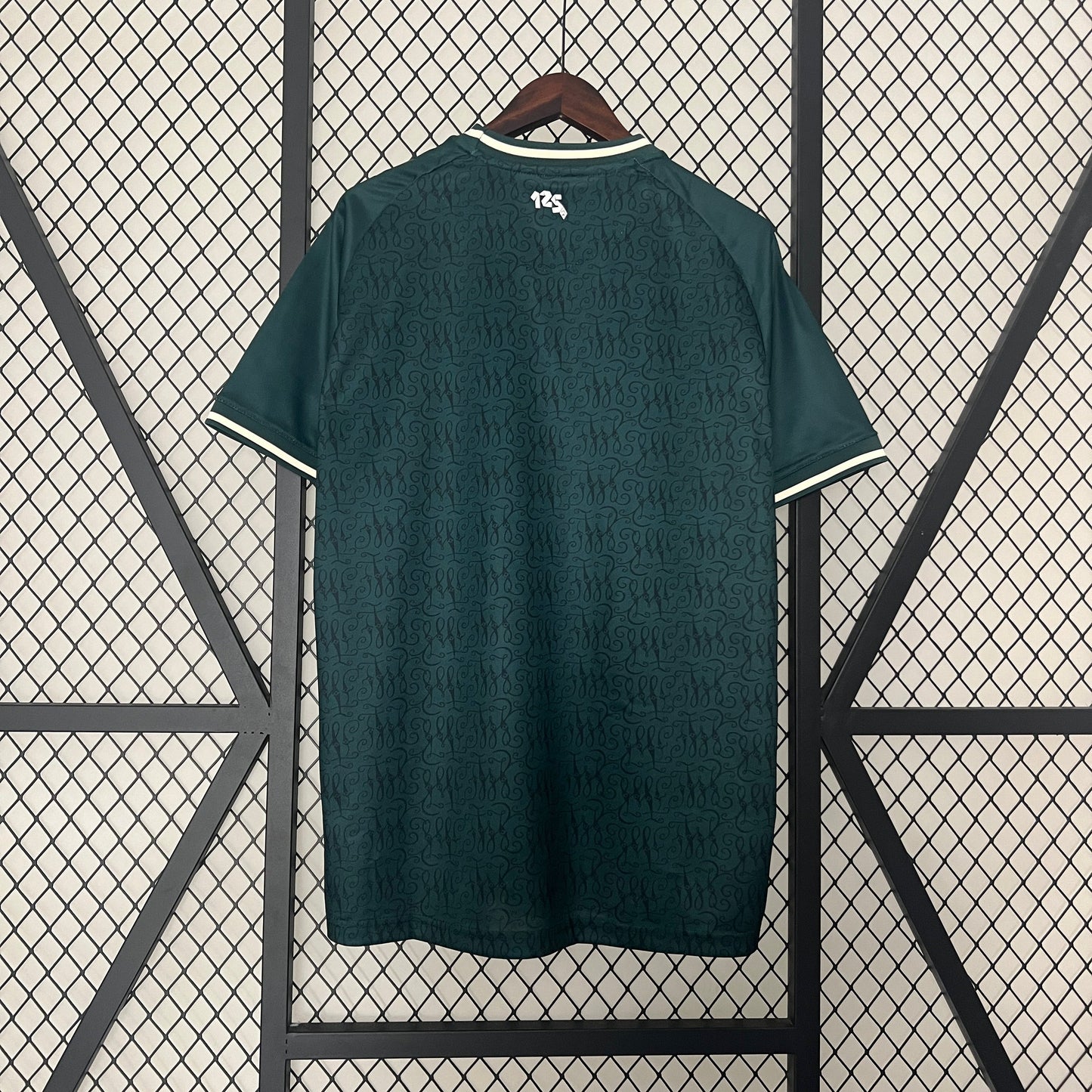 Camiseta Werder Bremen Special Editionl 2024/25 | Versión fan