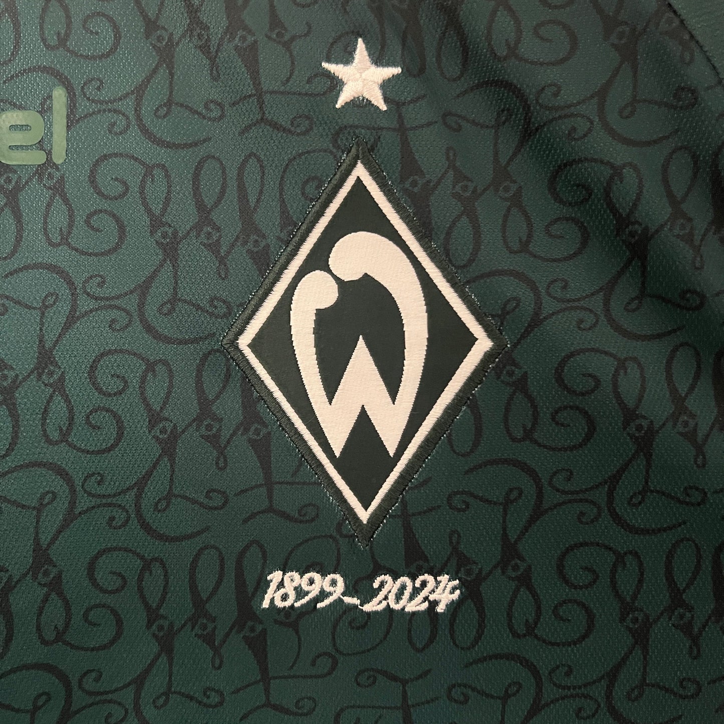 Camiseta Werder Bremen Special Editionl 2024/25 | Versión fan