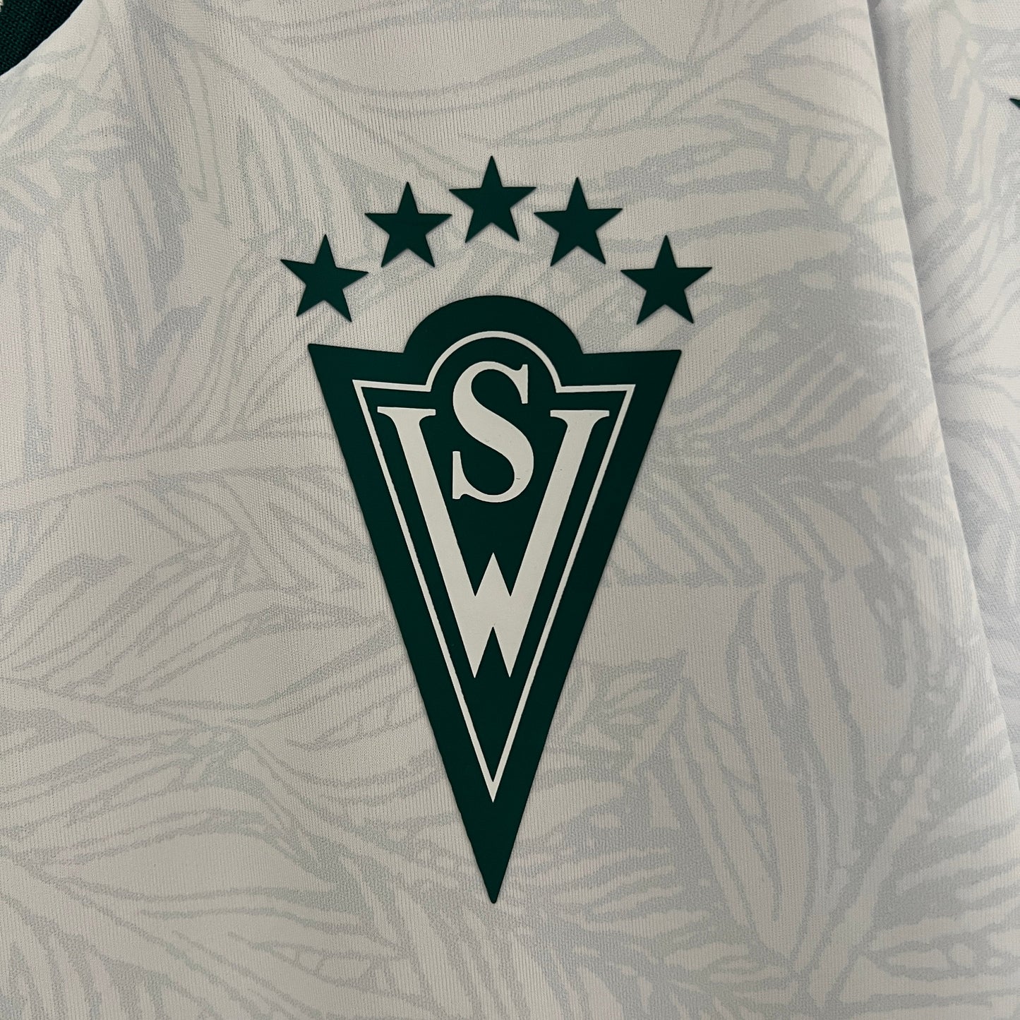 Camiseta Santiago Wanderers Visita 2024/25 | Versión fan