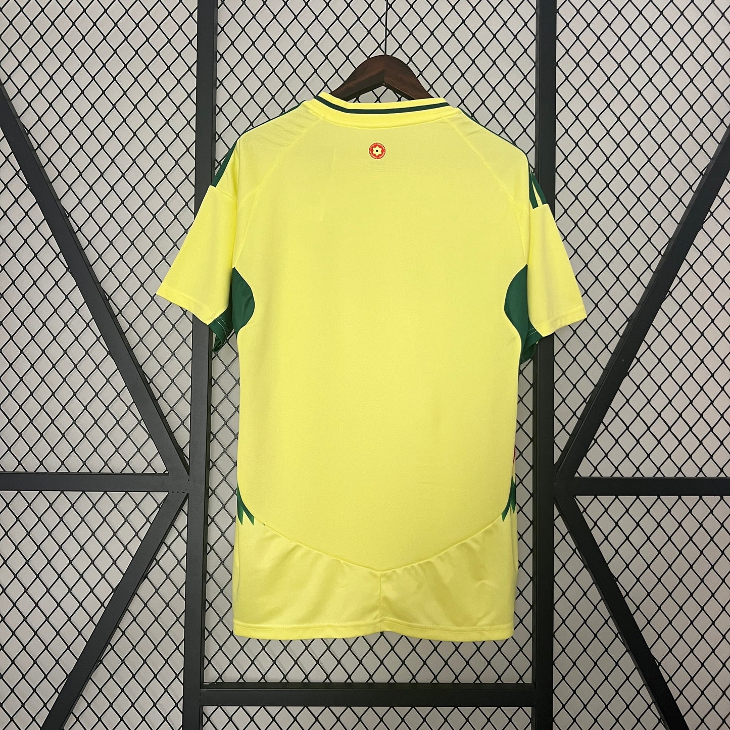 Camiseta Gales Visita 2024/25 | Versión fan