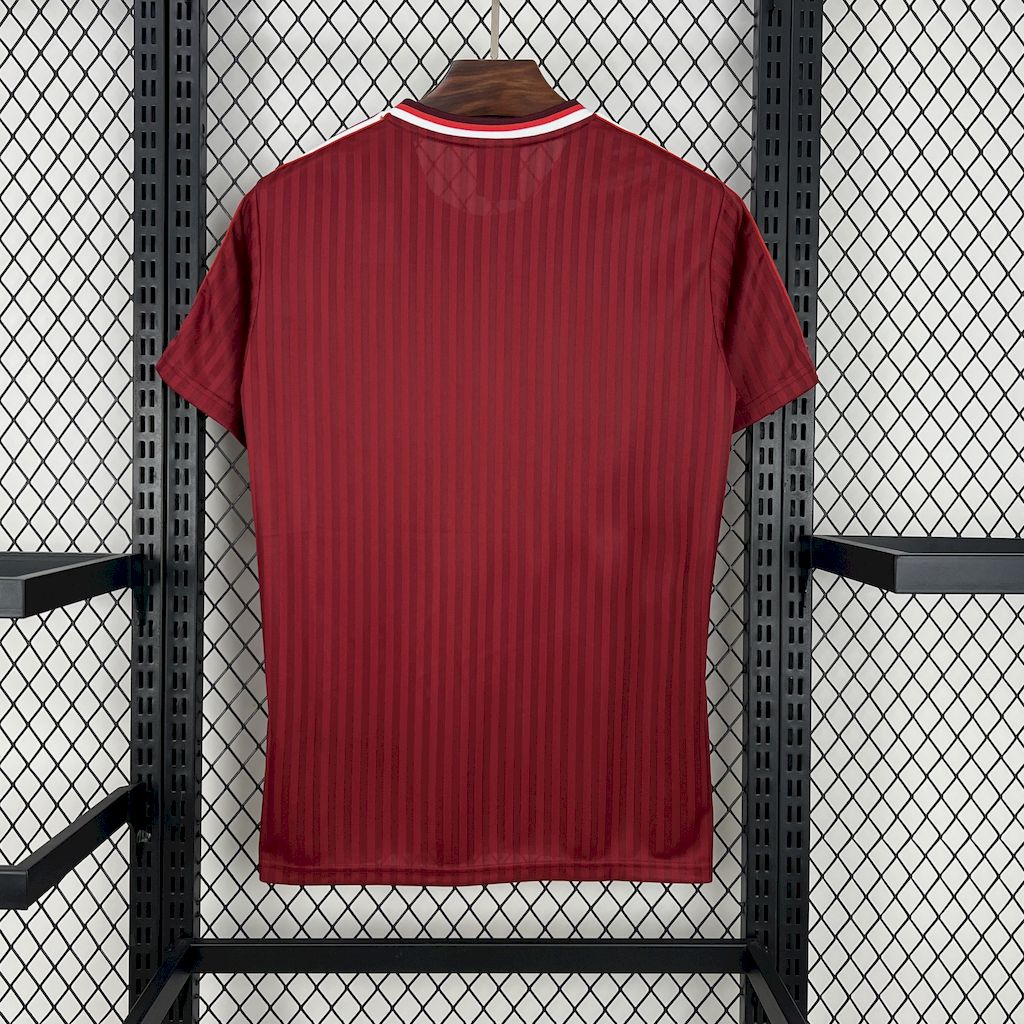 Camiseta Bayern Munich Edición Especial 2025/26 Versión Fan