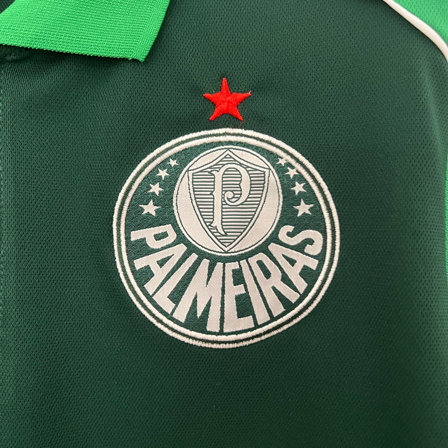 Camiseta Palmeiras green 2024/25 | Versión fan