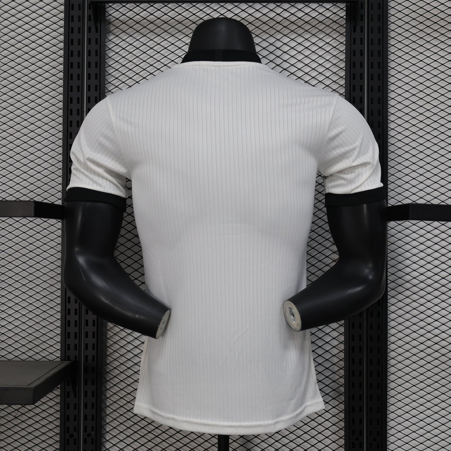 Camiseta Alemania Edición Especial 2025 Versión Jugador
