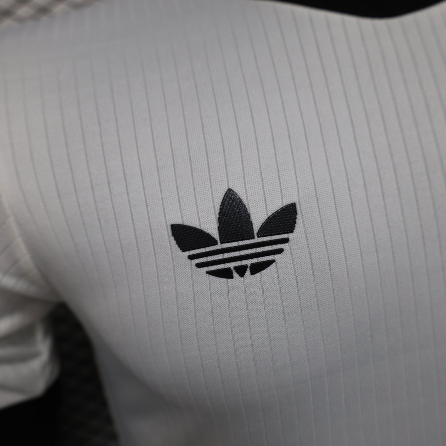 Camiseta Alemania Edición Especial 2025 Versión Jugador