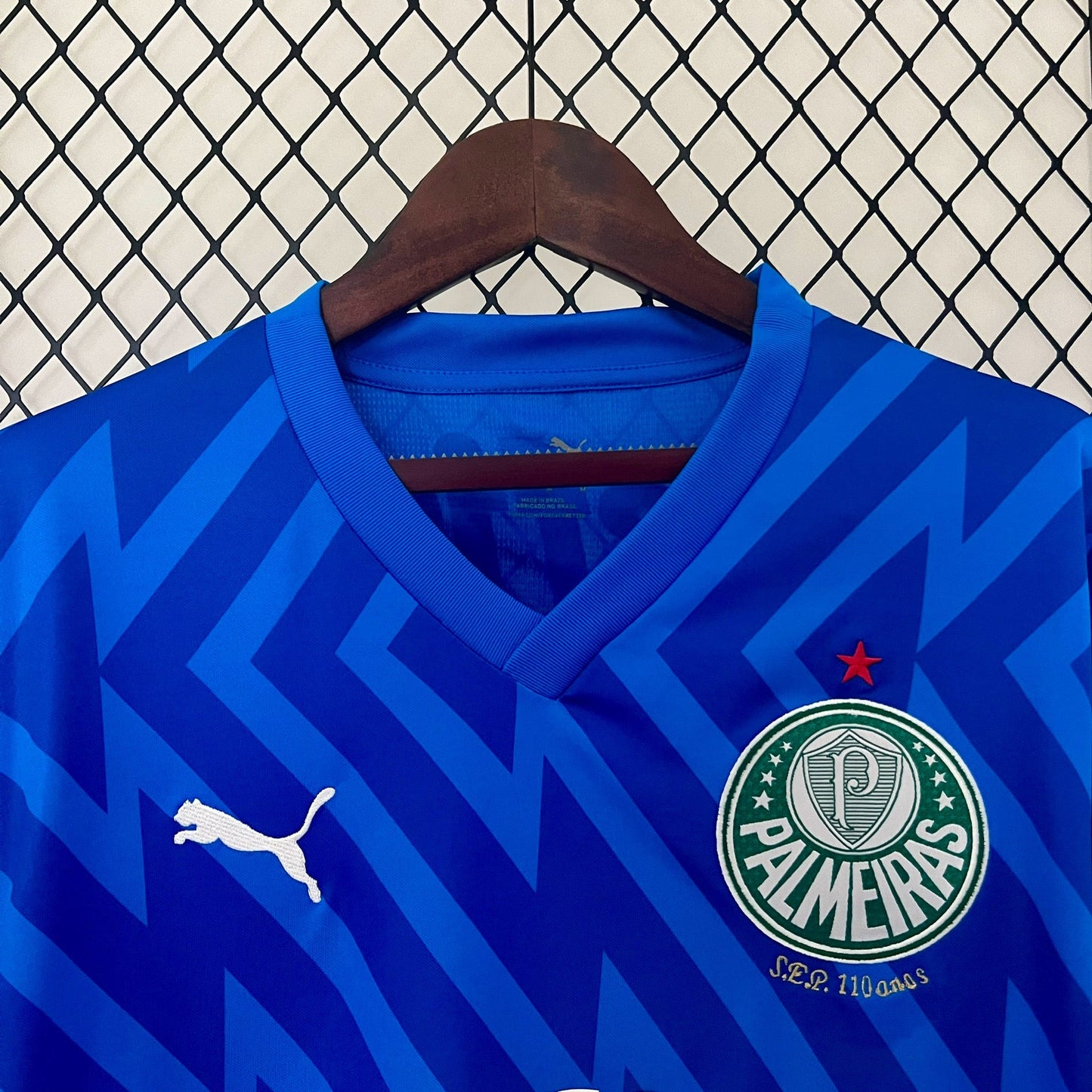 Camiseta Palmeiras 2024/25 | Versión fan Portero