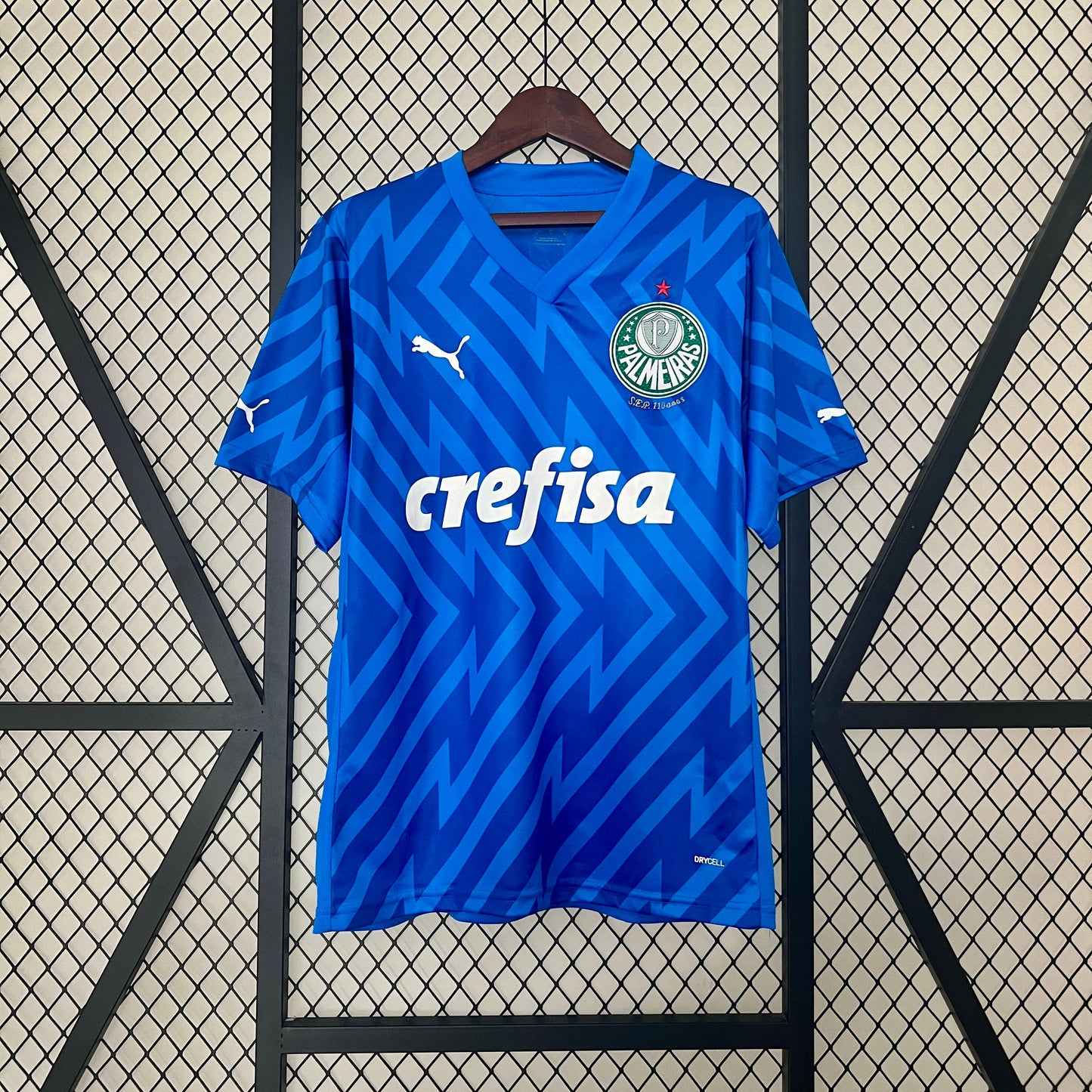 Camiseta Palmeiras 2024/25 | Versión fan Portero