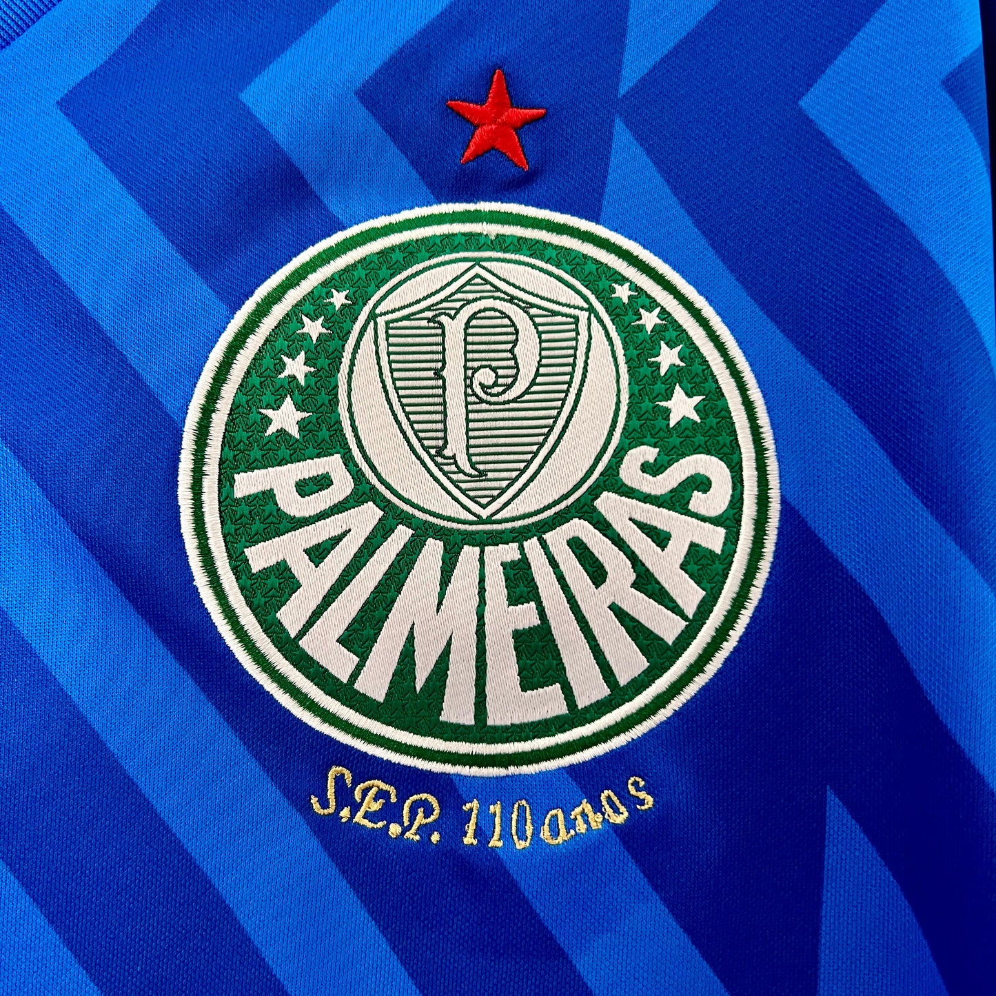 Camiseta Palmeiras 2024/25 | Versión fan Portero