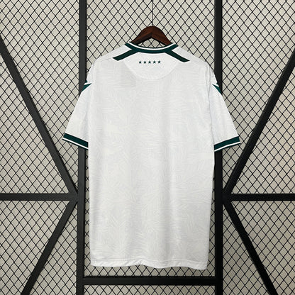 Camiseta Santiago Wanderers Visita 2024/25  | Versión fan