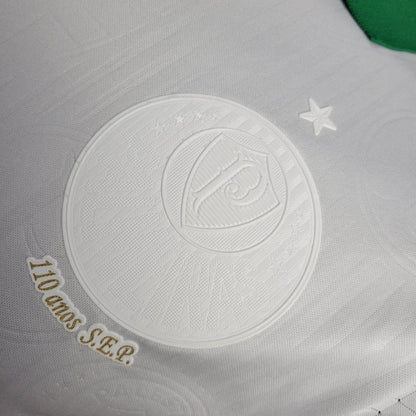 Camiseta Palmeiras Special edition 2024-25 | Versión jugador