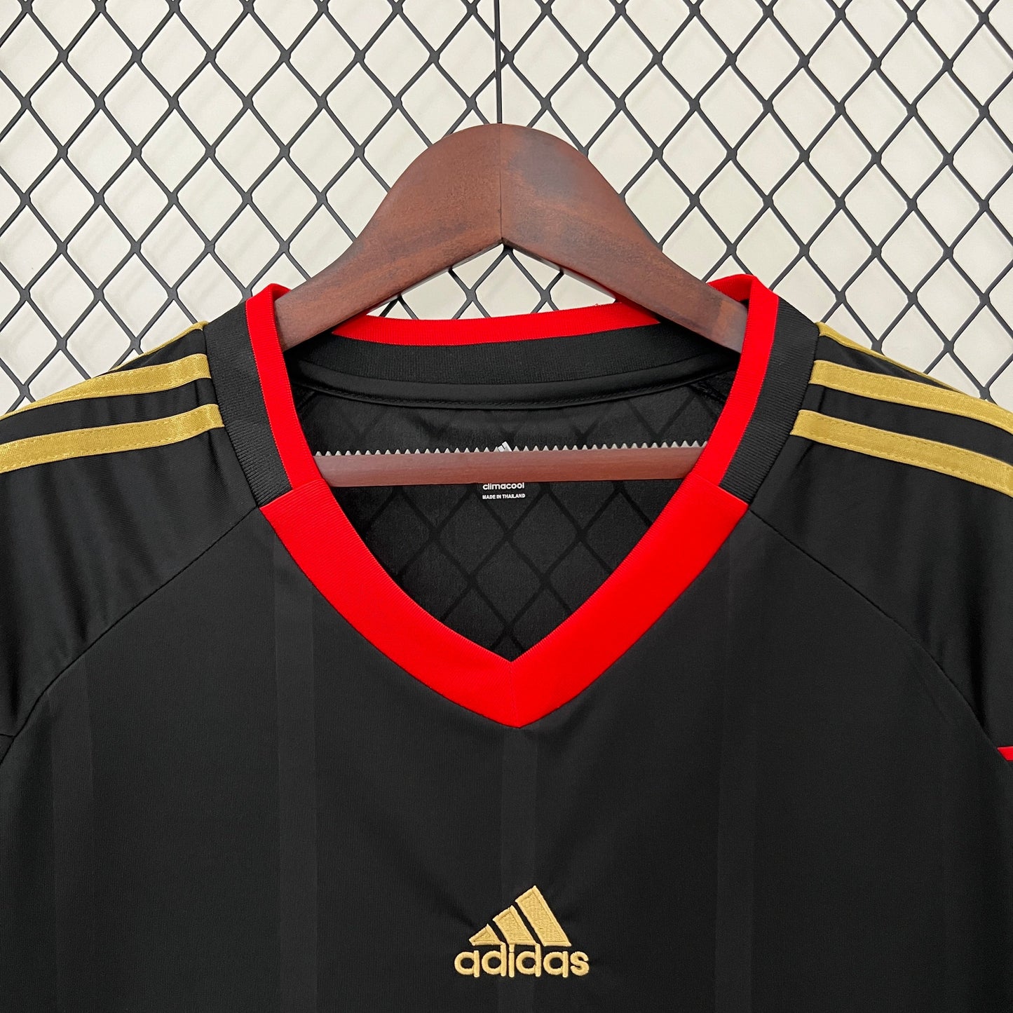 Camiseta Alemania Visita 2010 | Retro