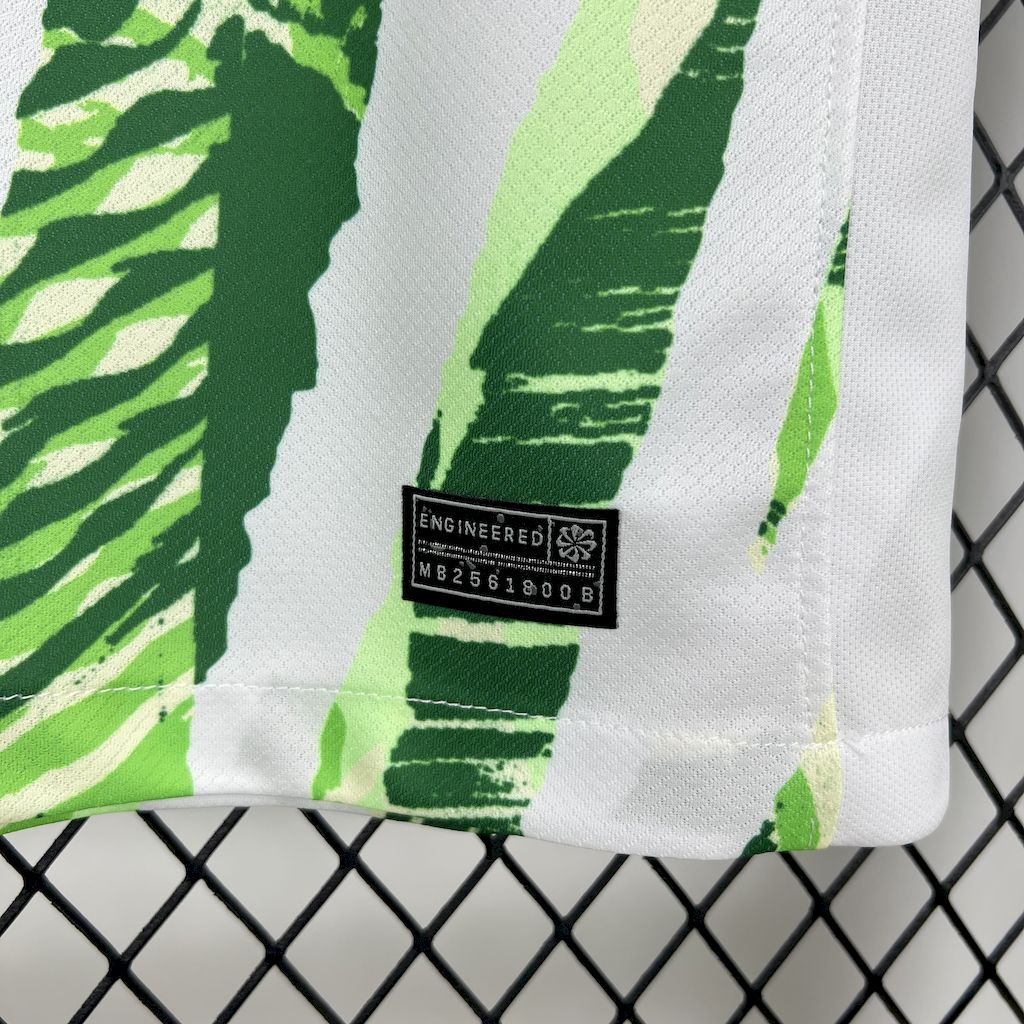 Nigeria Local 2025/26 Versión Fan