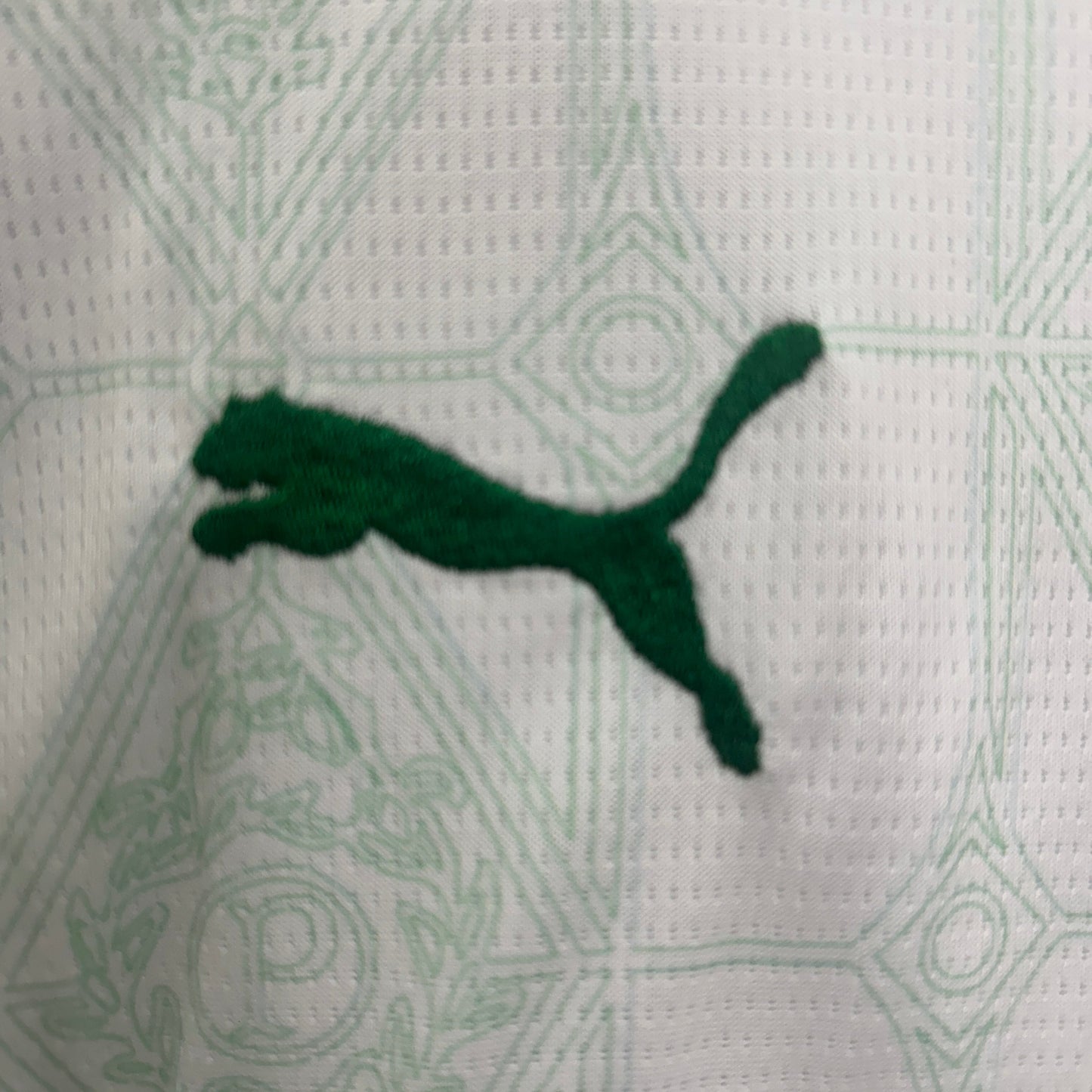 Palmeiras Kit Niño Visita 2025/26