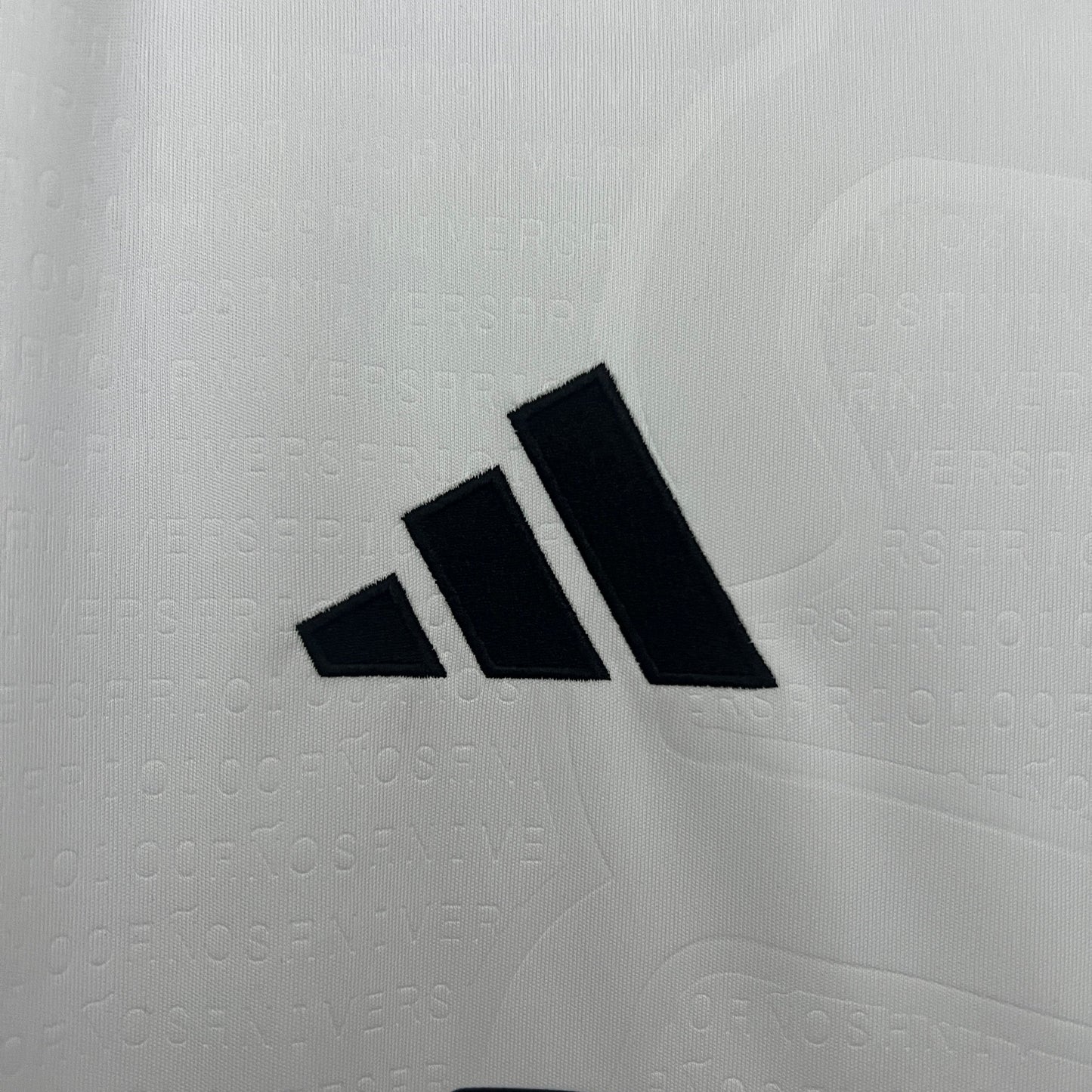 Camiseta Colo Colo Local 2025 Versión Fan